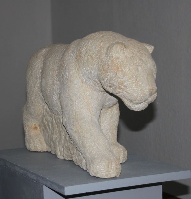 B Puma